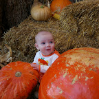 Pumpkin Patch - Bowman Family