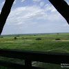 Park Narodowy "Ujście Warty" -wieża widokowa dsc05788.jpg