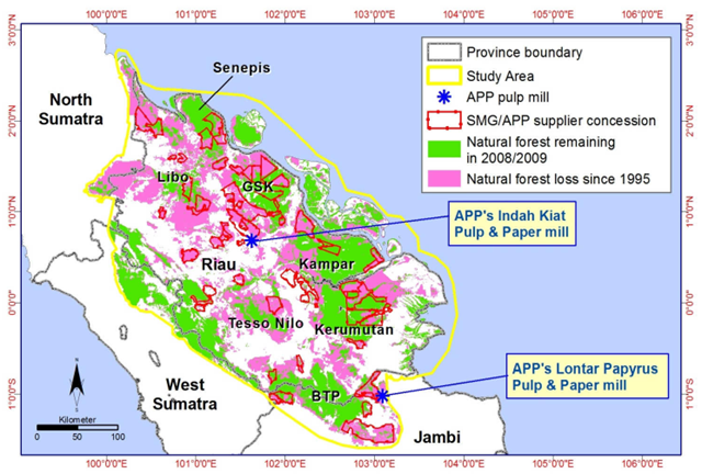 Sumatra Deforestation, 1995-2009. SMG/APP associated concessions, natural forest remaining in 2008/2009, and natural forest lost since 1995 in the Eyes on the Forest study area. Eyes of the Forest / WWF-Indonesia