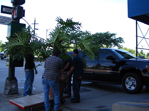 It was going into the parking garage under the building.