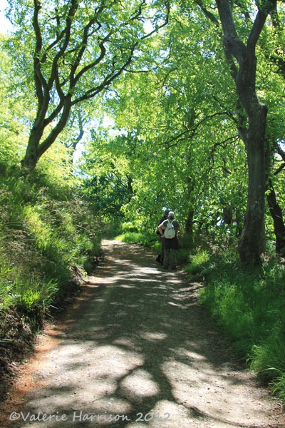 [41-dunskey-glen%255B2%255D.jpg]