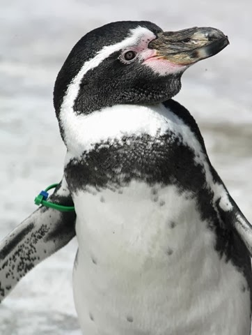 [IMG_5224-001%255B2%255D.jpg]