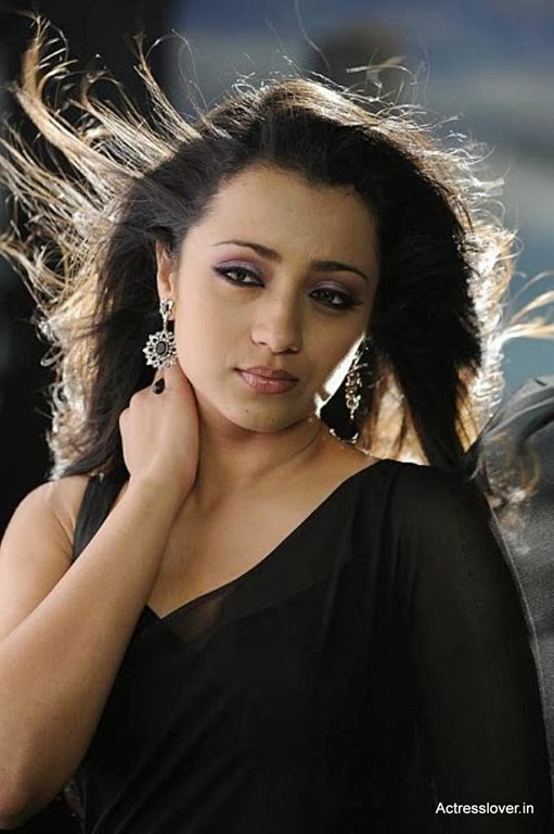 Trisha-Krishnan-Hot-Saree (4)