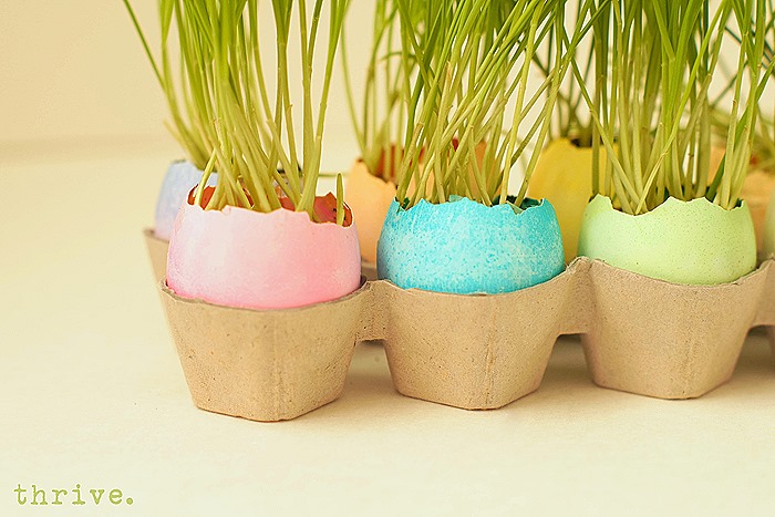 Easter Egg Wheat Grass Centerpiece from THRIVE