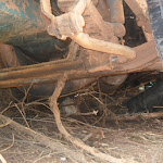 SAM_7120.JPG