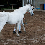 6Y1I3104_DxO_raw.jpg