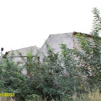 ex pistacchieto Monte Sara - foto di Domenico Oliveri