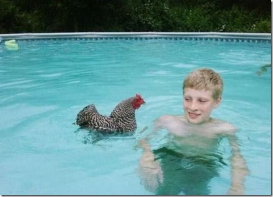 viral-picdump-pics-c60b66