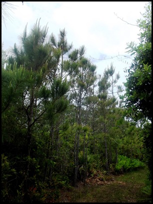 Dune hike & rain paddle 099