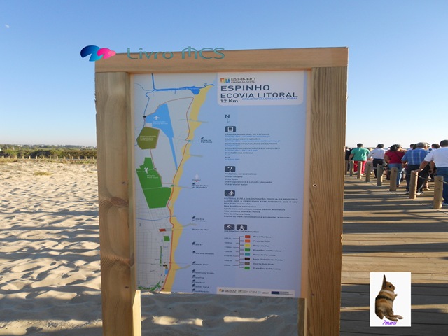 [O%2520desenvolvimento%2520das%2520Ruas%2520de%2520Espinho002Gazeta%2520de%2520Espinho%255B2%255D.jpg]