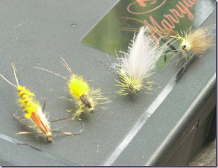 clip_image010 clip_image010