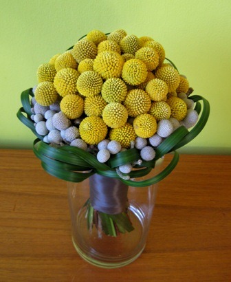 [billy-balls-silver-brunia-and-lily-g%255B1%255D.jpg]