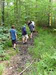 sd530813_20090329_1643907513.jpg
