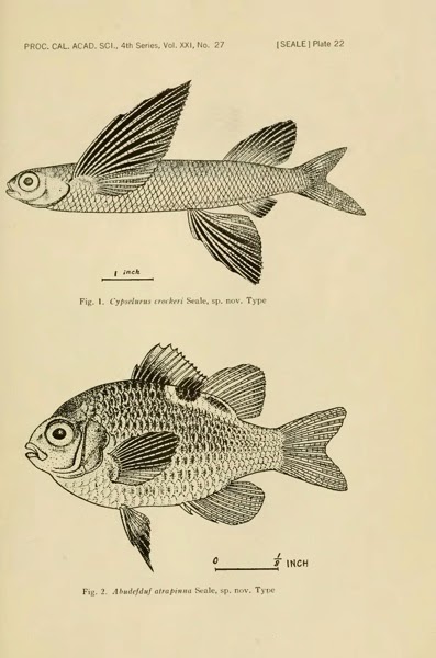 proceedingsofcal421193336cali_0397.jpg Proceedingsofcal421193336cali 0397