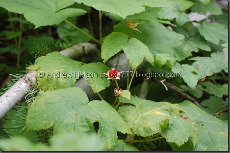 DSC_0058 DSC_0058