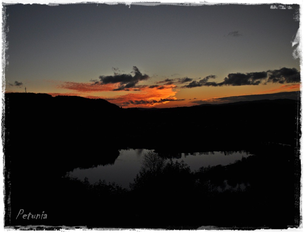[DSC_02505.jpg]