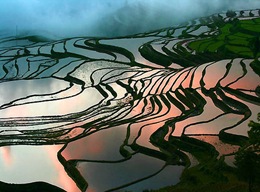 yuanyang-rice-terraces