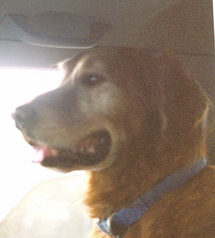 [jake1%2520dfd%255B2%255D.jpg]