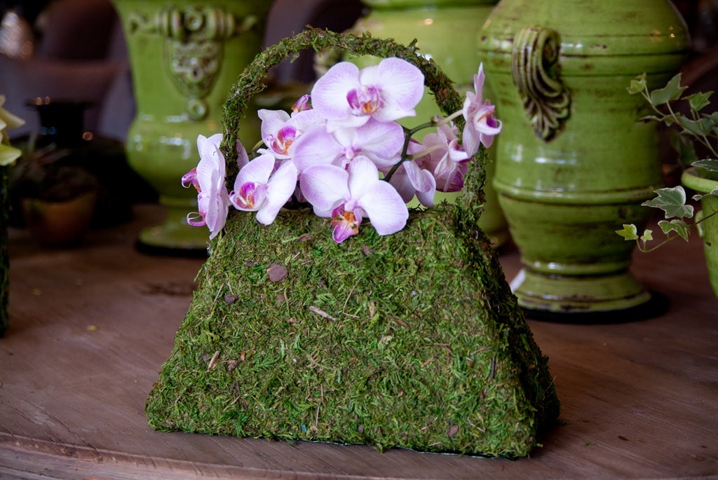 [DSCF0388-1-bloom-by-anuschka4.jpg]