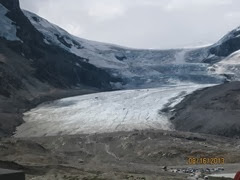Icefield & Glaciers in Jasper NP