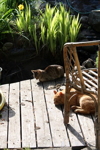 [IMG_3225-1%255B3%255D.jpg]