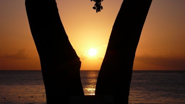barbados sunset
