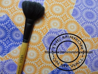 Vega Blush Brush3.JPG