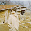 Jane Robisons Log Cabin Jane Robisons Log Cabin