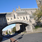 DSC_7395-2.jpg