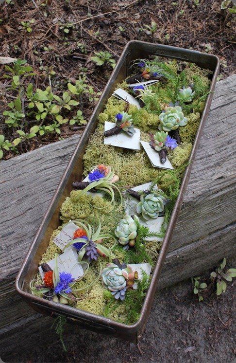 IMG_3663 the cutting garden