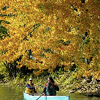 Parc de la Rivière-des-Mille-Îles