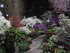 Springtime Display