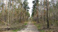 20140413_092746.jpg Photo 20140413_092746.jpg Photo