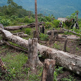 Forest destruction on Kemiri (Heinz von Holzen, May 2009)