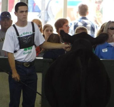 Keiffer Sexton of the Highlanders 4-H Club, son of Lyle and Stephanie Sexton of Ainsworth, earned the Champion Beef Showman for 7th-8th grade at the Iowa State Fair last week. Photo courtesy:  Washington County Extension.