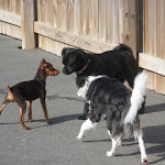 DSCN4745.jpg
