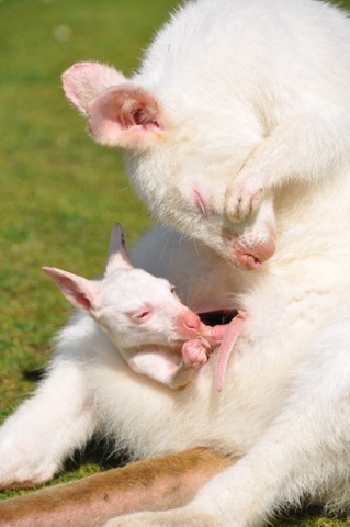 [Both%2520having%2520a%2520wash%2520DSC_0238%255B4%255D.jpg]