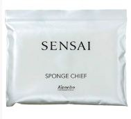 [chief-sponge-kanebo4.jpg]