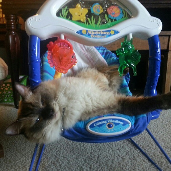 [stormy-bouncy-seat5.jpg]