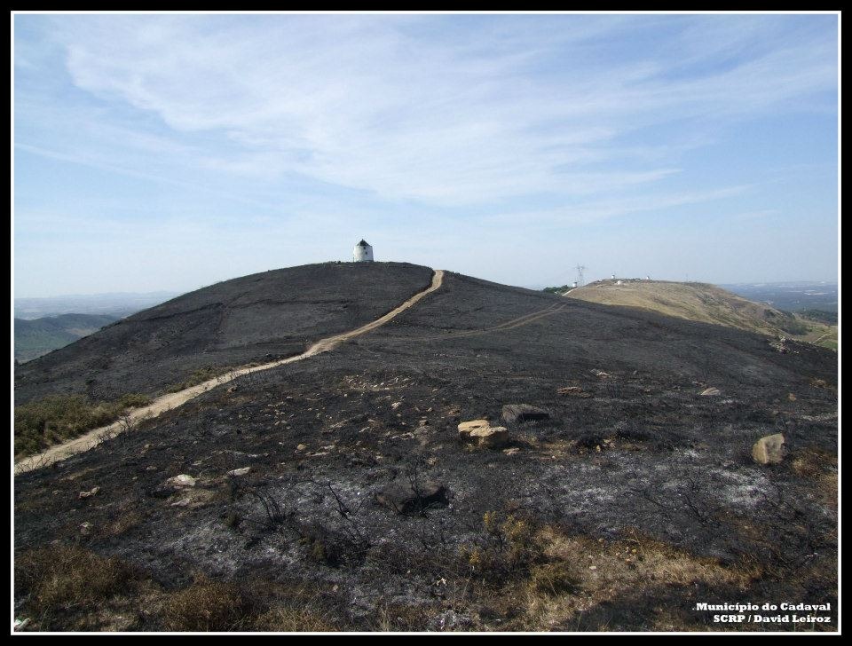 [185126_10151252720163714_1533389569_n%255B3%255D.jpg]