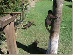 IMG_0413 IMG_0413