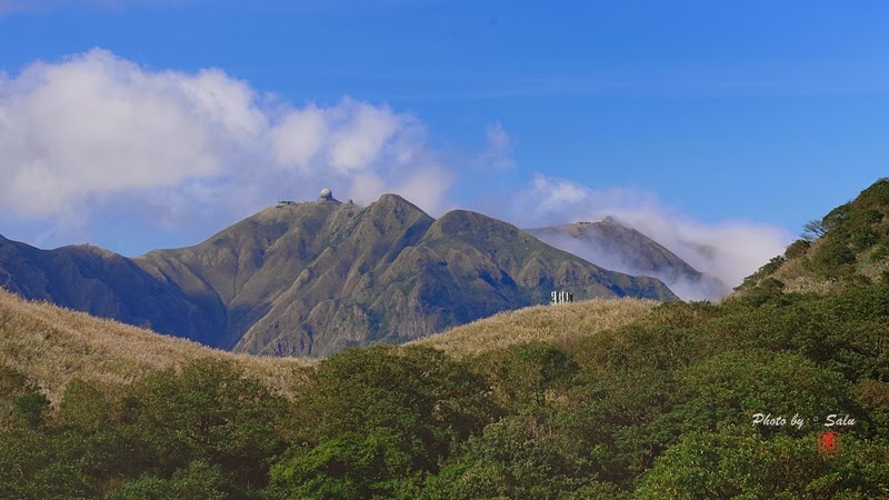 台北 陽明山 冷水坑 擎天崗 秋 芒