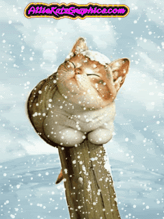 [animals20%255B3%255D.gif]
