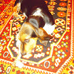 DSCN2482.JPG
