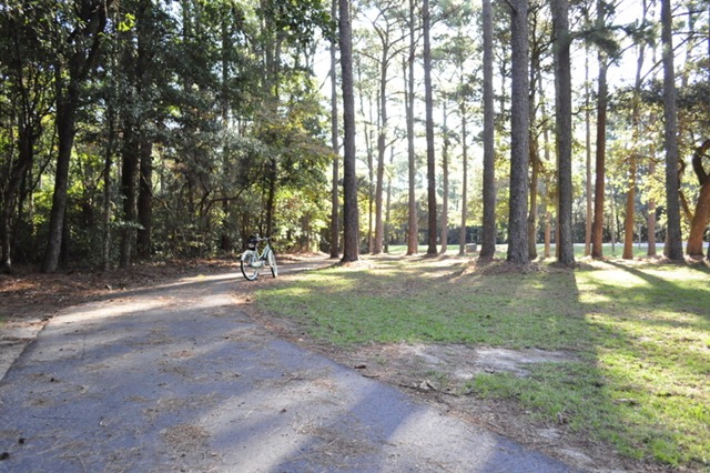 [10-3011%2520bike%2520%2520woods%2520236%255B7%255D.jpg]