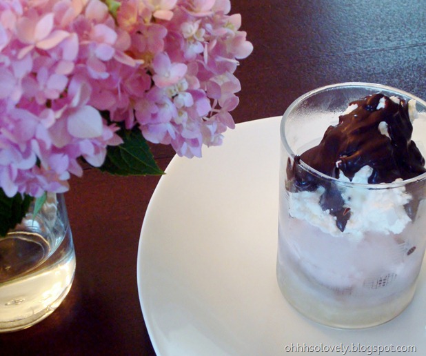 ice cream dessert ice cream dessert