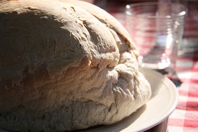 brood brood
