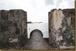 IMG_3788 IMG_3788