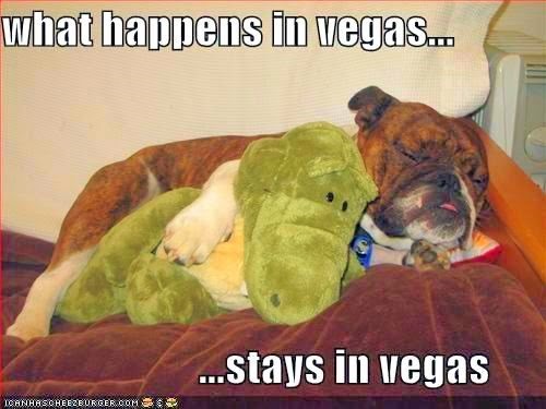 what happens in vegas stays in vegas funny quotes what happens in vegas stays in vegas funny quotes