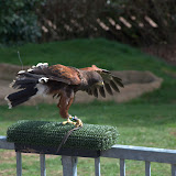 Cub Pack Holiday - Skreens Park 2012 - DSC_0132.jpg